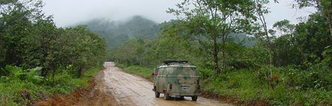 Heading into the rainforest