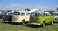Line up of bay window buses