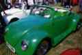 Apple green beetle