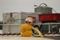Flat Eric