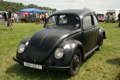 Bug available in every colour, as long as it's black