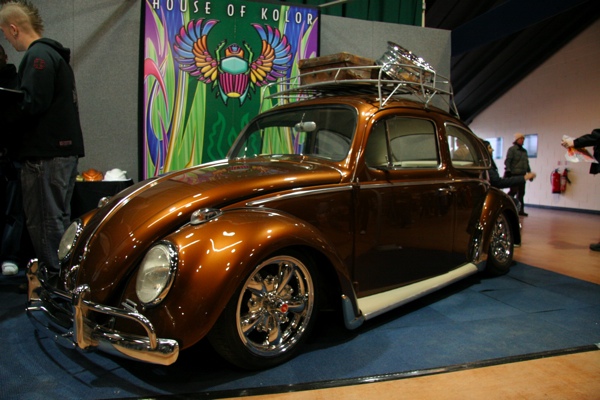 Slammed metallic brown beetle
