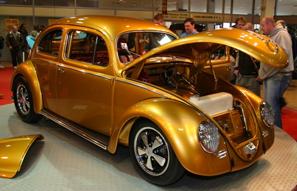 Metallic gold Beetle. Lickable