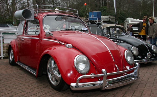 Bug, Beetle, whatever you wanna call it - 2