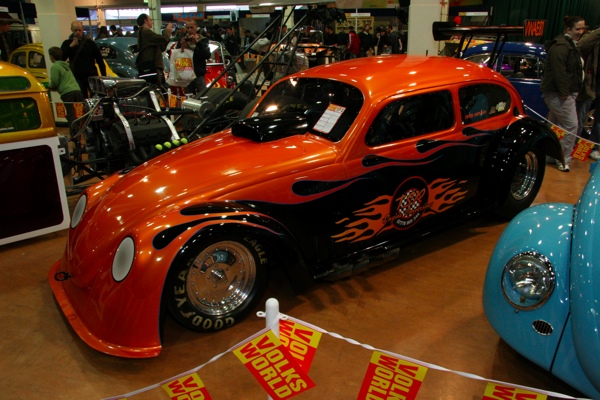 Racing beetle
