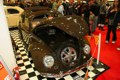 Shiny brown beetle