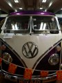 Splittie with safari windows